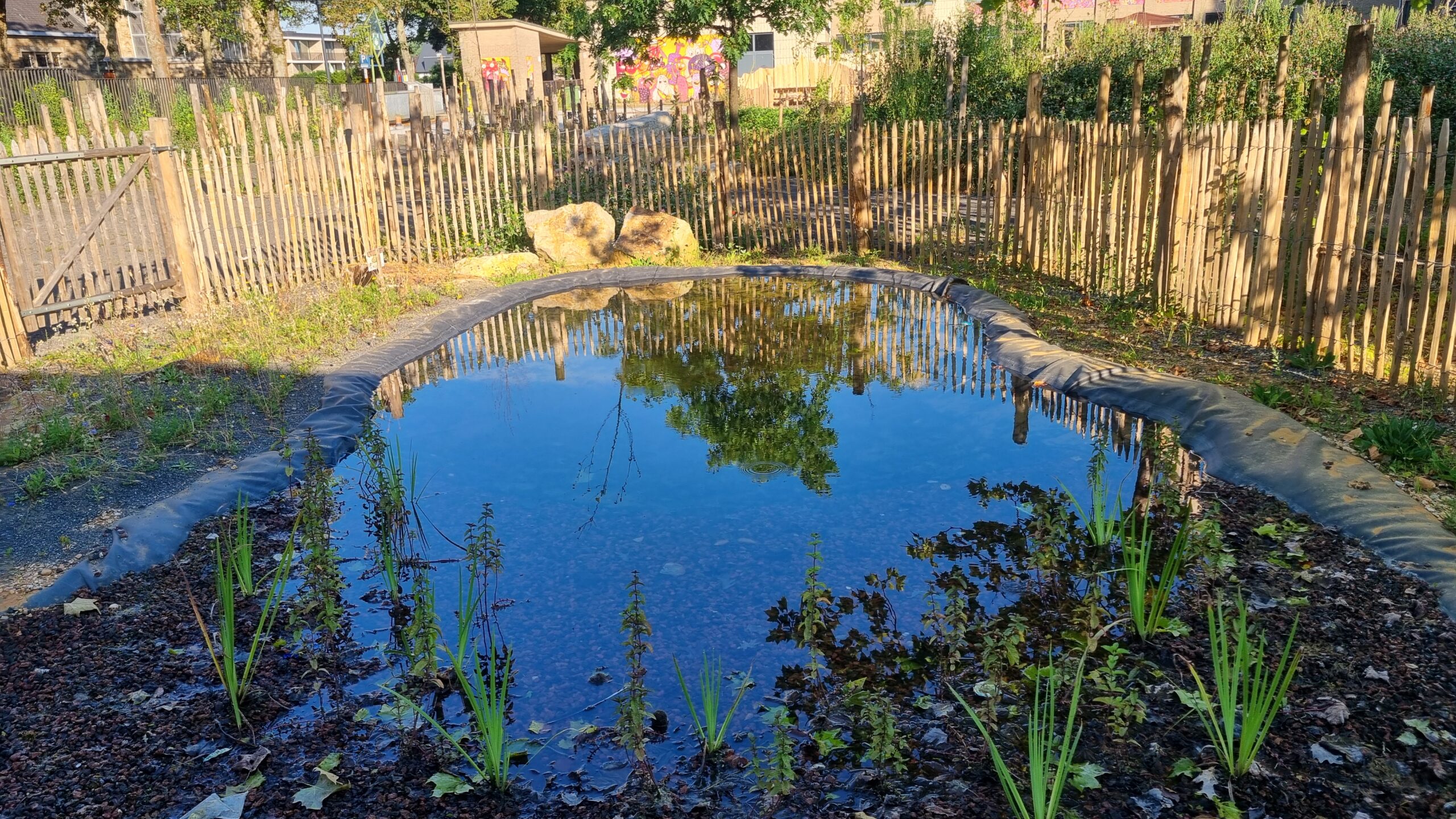20240729 083533 scaled | Bonneco Tuinen, Tuinarchitectuur die goed is voor de natuur