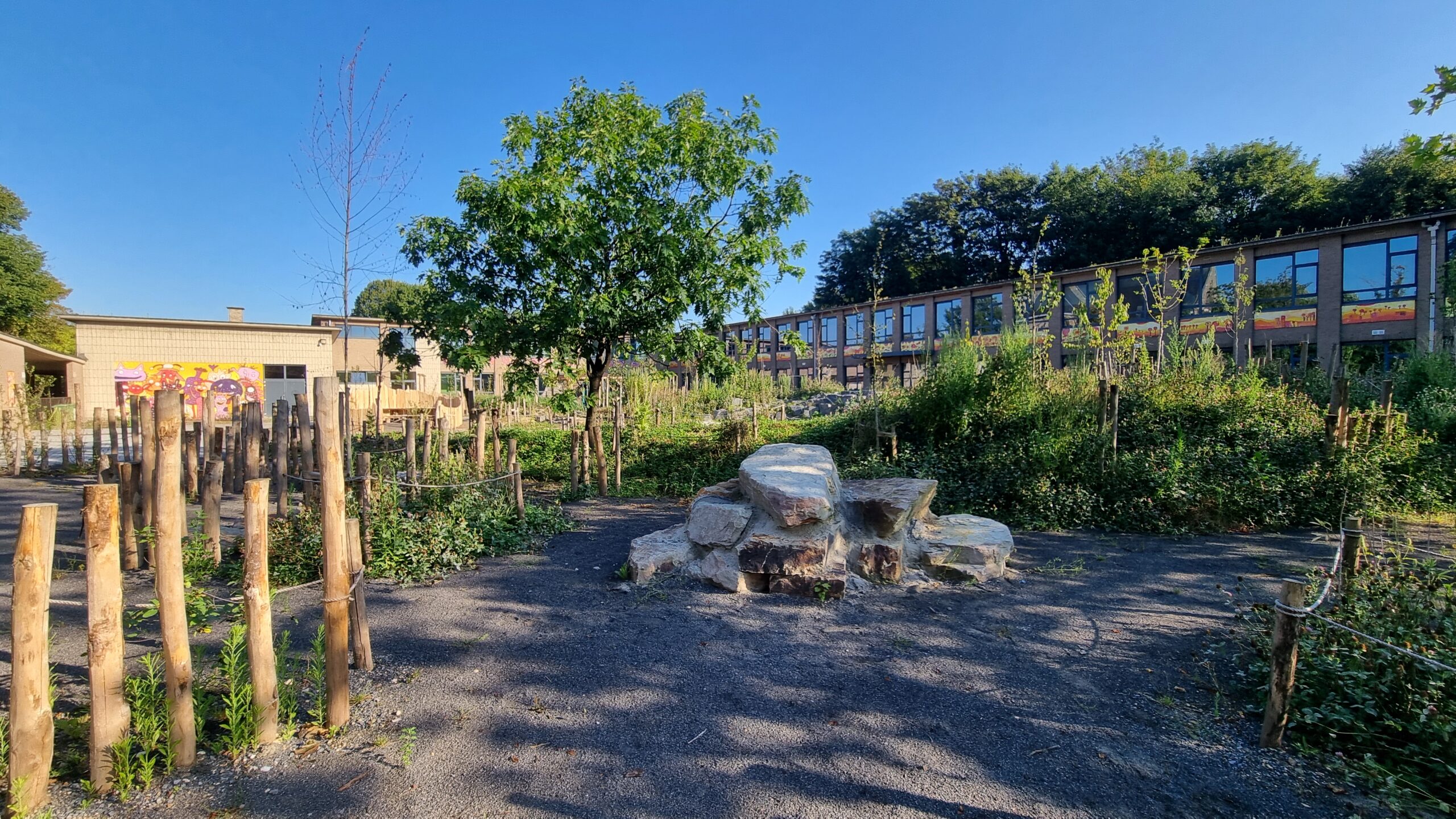 20240729 083603 scaled | Bonneco Tuinen, Tuinarchitectuur die goed is voor de natuur