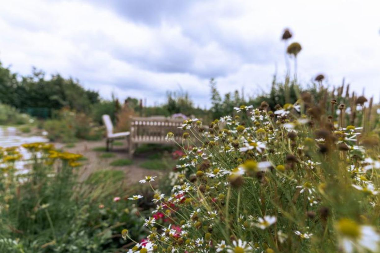 Design sans titre 10 | Bonneco Tuinen, Tuinarchitectuur die goed is voor de natuur