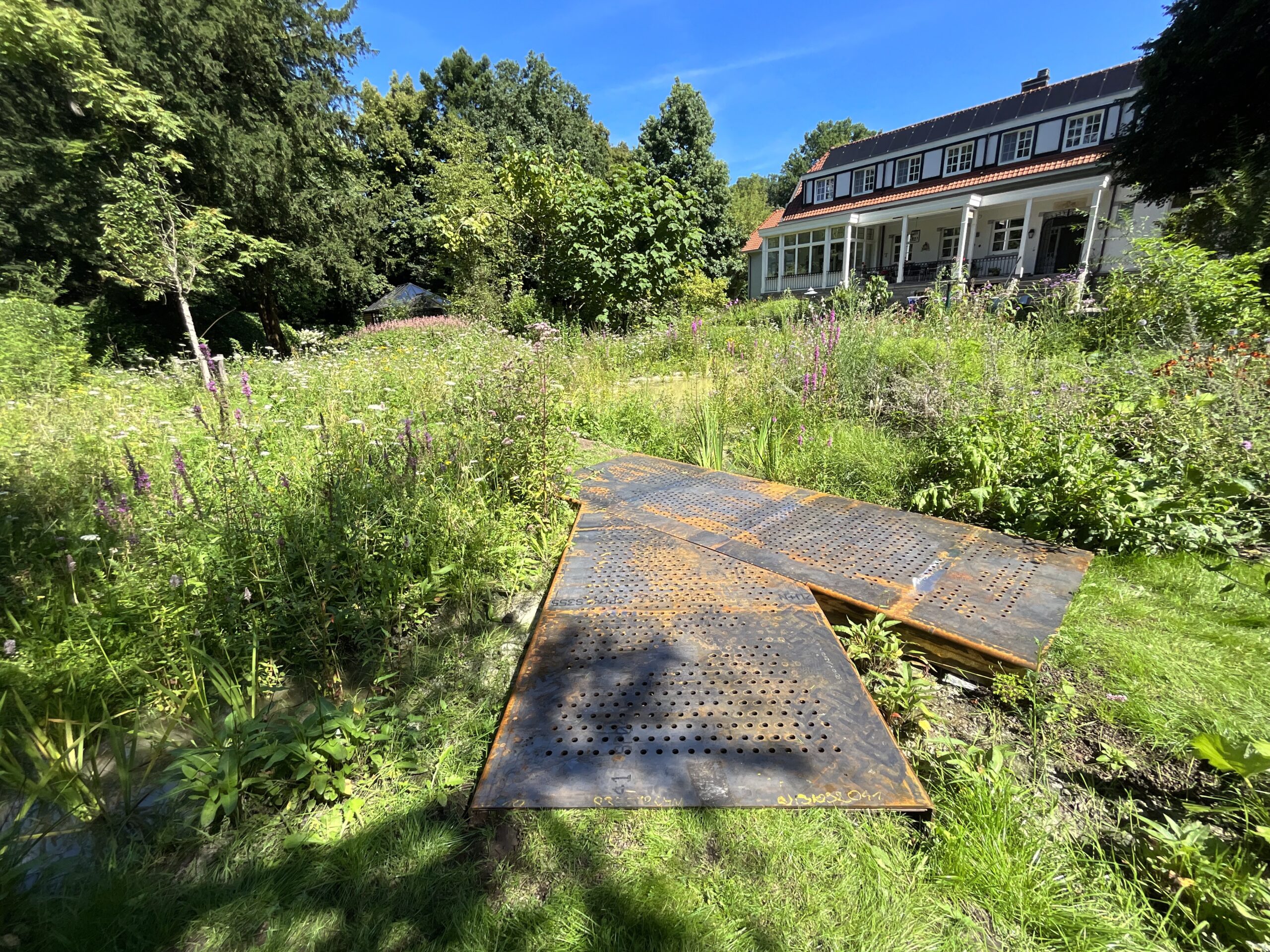 IMG 0119 1 scaled | Bonneco Tuinen, Tuinarchitectuur die goed is voor de natuur